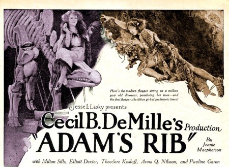 Adam's rib affiche